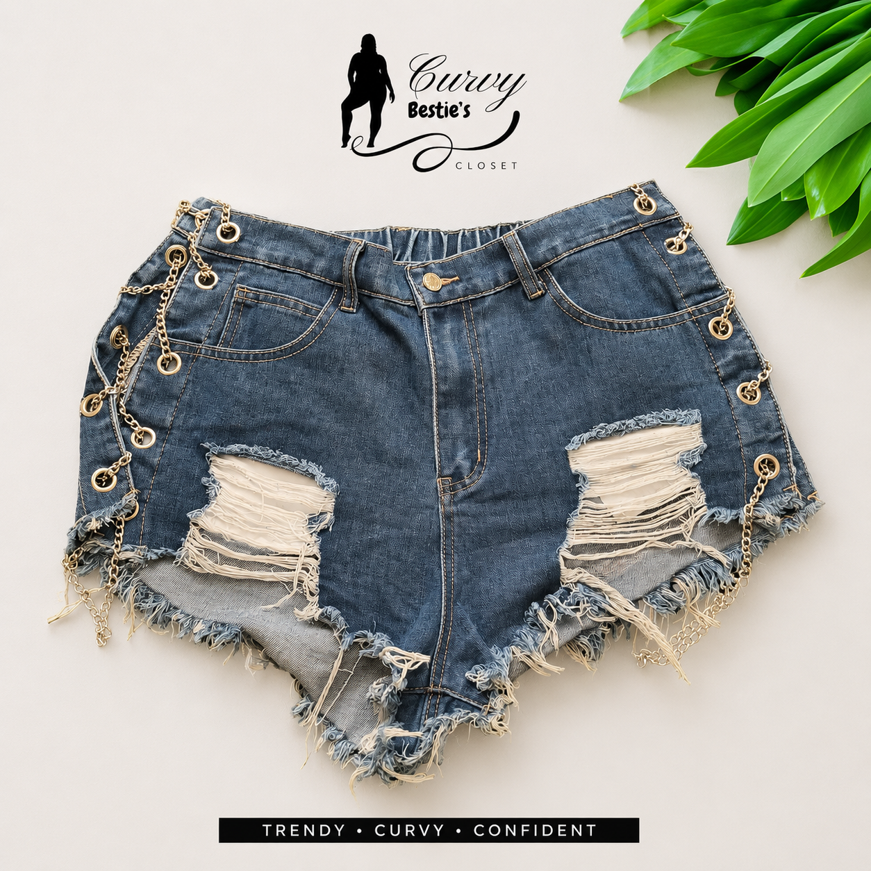 Denim Diva Distressed Shorts