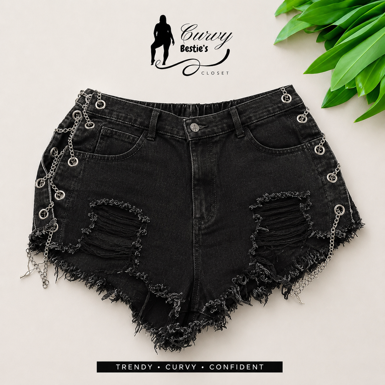 Denim Diva Distressed wash Black Shorts